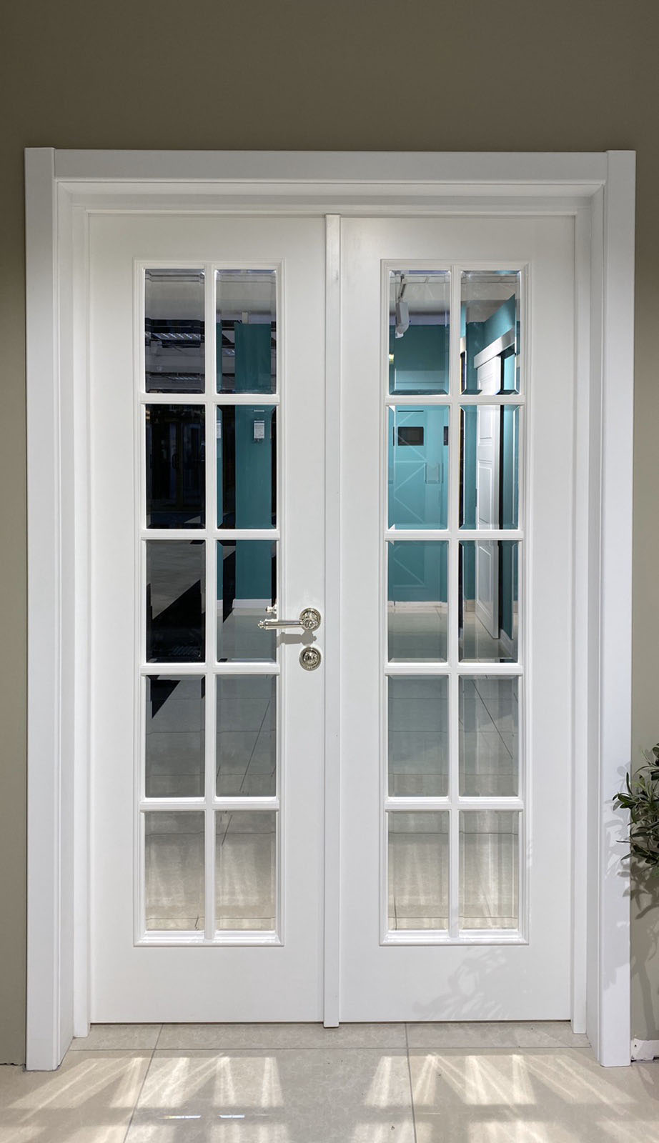 South Florida Double Doors