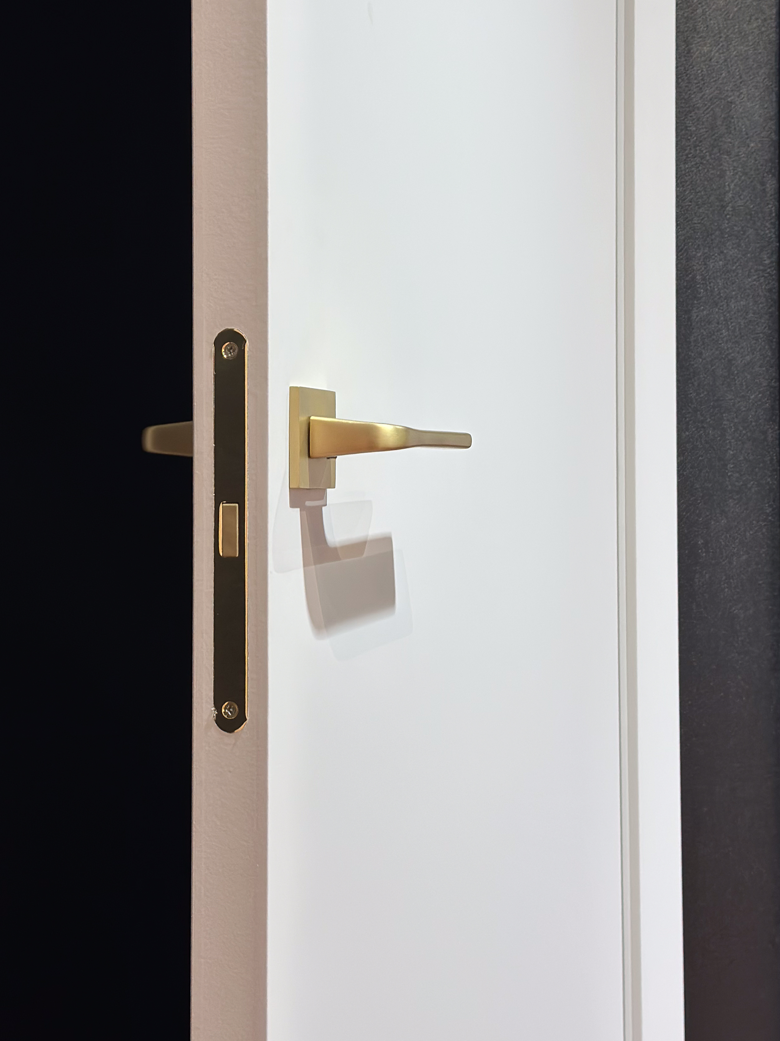 Image Nova Interior Door Angora Grey 4