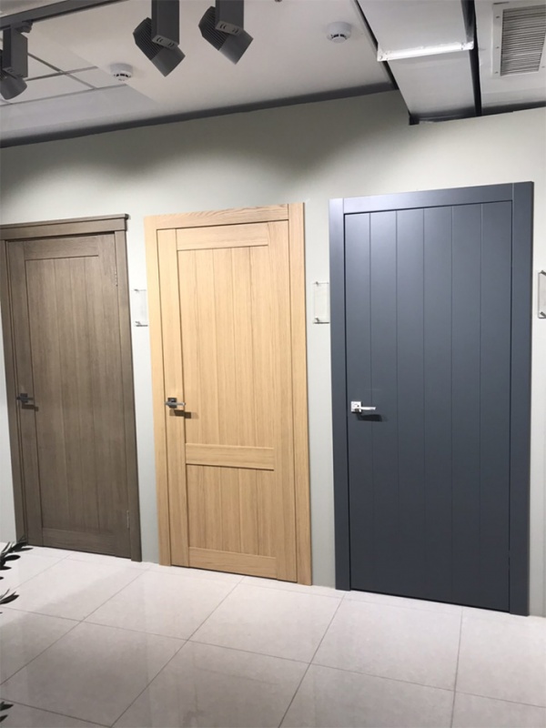 Color for Your Contemporary Doors