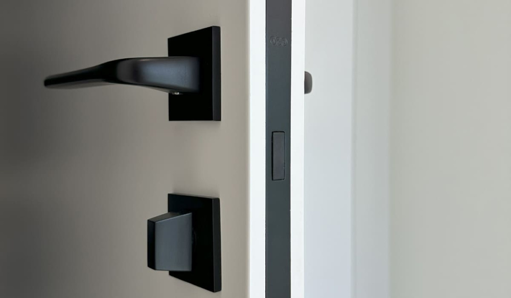 Popular Black Accent Options for Interior Doors
